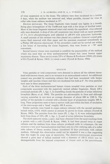 Single paper from a set of papers relating to virus morphology