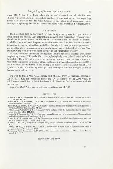 Single paper from a set of papers relating to virus morphology