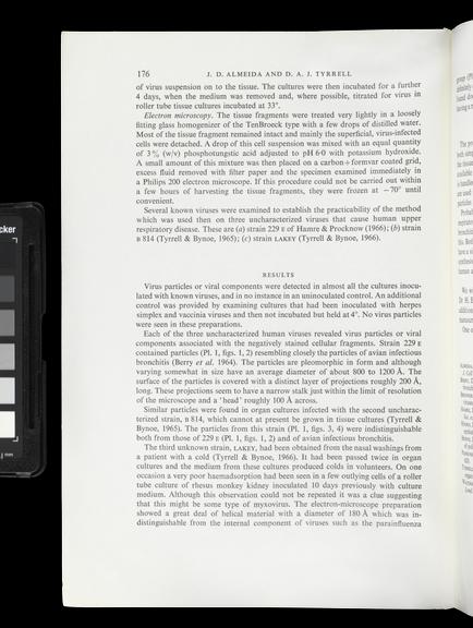 Single paper from a set of papers relating to virus morphology