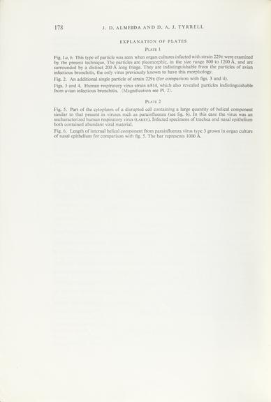 Single paper from a set of papers relating to virus morphology