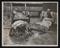 A photographic print of Industry, Household Goods, Carpets