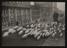 Daily Herald Photograph; Herding Pigs through Islington