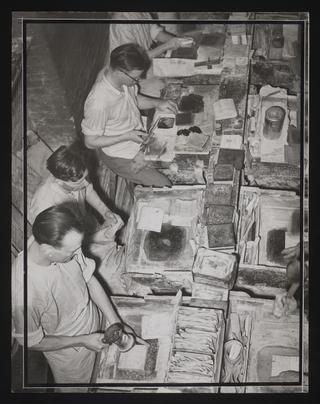 A photographic print of Industry, Metals, Gold Processing, et
