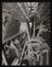 A photographic print of Industry, Railways