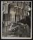A photographic print of Industry, Sport, Tennis