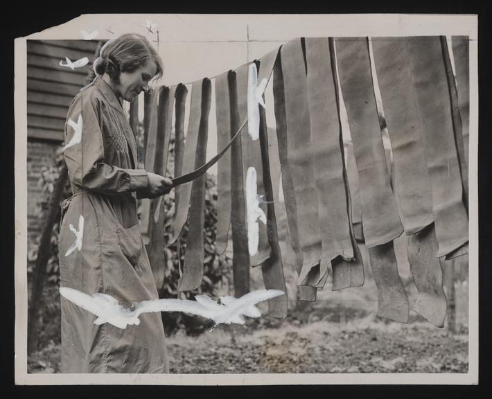 A photographic print of Industry, Sport, Cricket