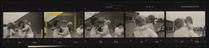 Daily Herald Contact Sheet: Platignum Pen Factory nursery