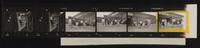 Daily Herald Contact Sheet: Platignum Pen Factory nursery