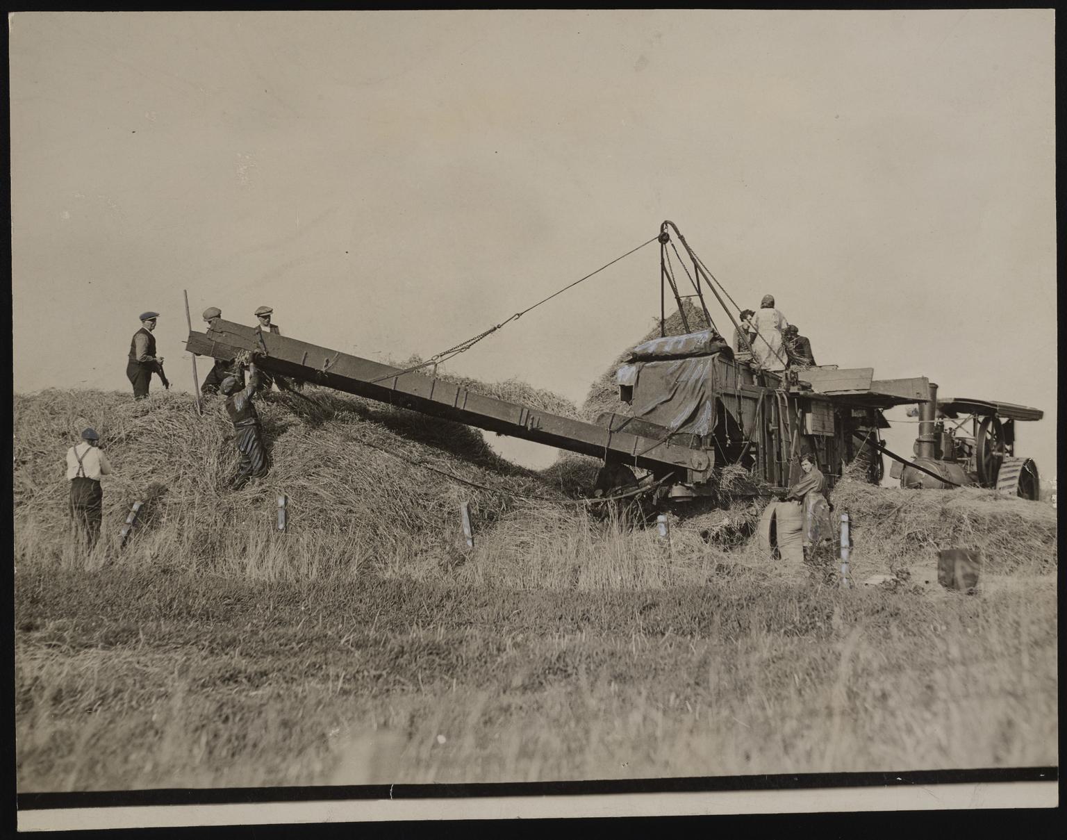 A photographic print of Industry, Agriculture, Harvesting - Grain ...