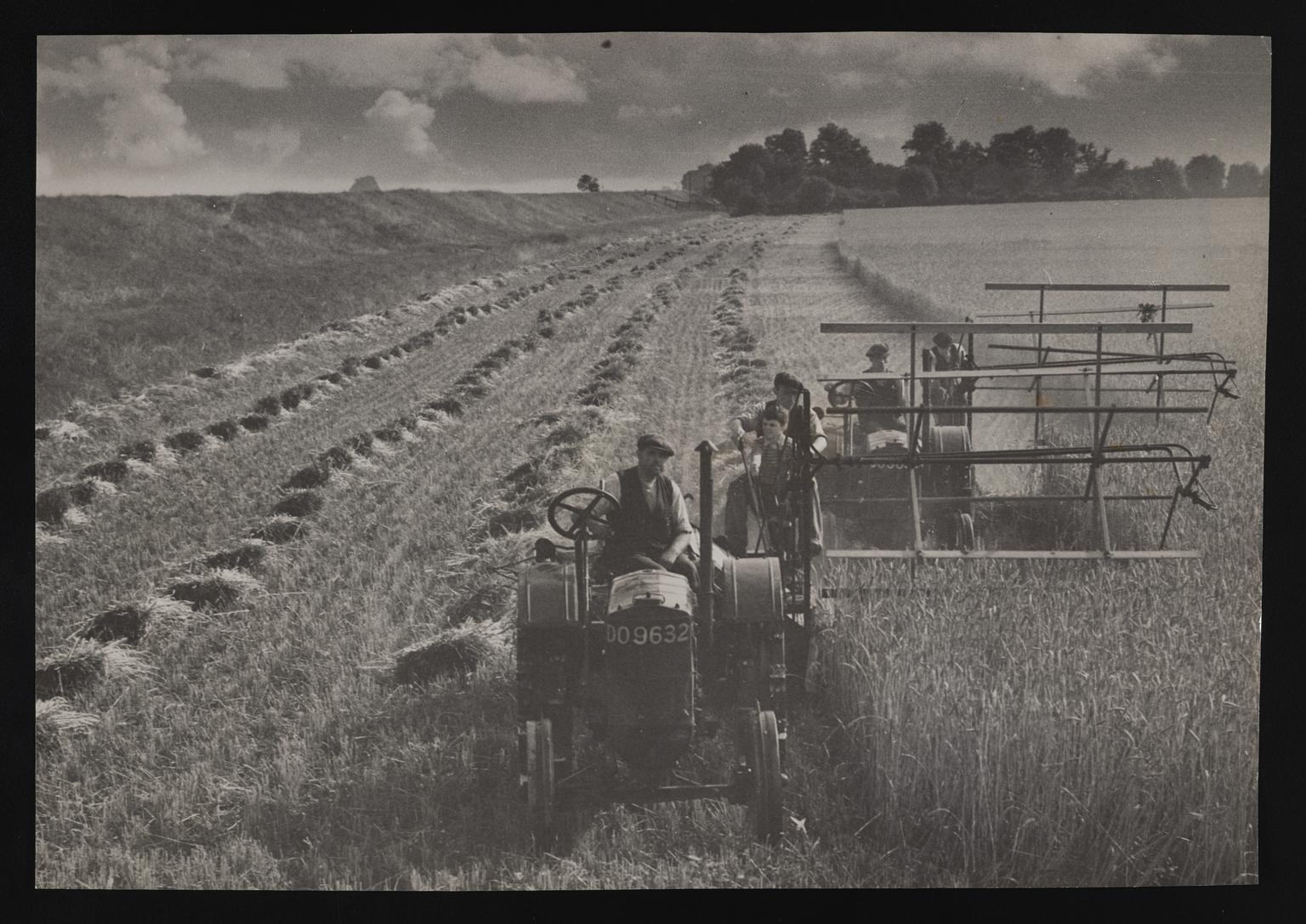 A photographic print of Industry, Agriculture, Harvesting - Grain ...