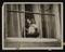 Daily Herald Photograph: Princess Elizabeth