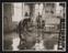 Daily Herald Photograph; Bottling Milk