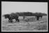 A photographic print of Industry, Agriculture