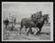 A photographic print of Industry, Agriculture