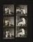 Daily Herald Contact Sheet; National Pig Progeny Testing Station