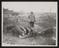 Daily Herald Photograph; Pig Farming