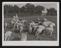 A photographic print of Industry, Agriculture, Pigs