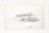 Cloud study by Luke Howard, c1803-1811: Landscape