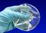 RGI-200 (Silicone gel mammary implant; smooth shell; low