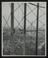 Daily Herald Photograph: Steeplejacks repairing gasworks