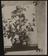 A photographic print of Fruit