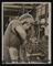 A photographic print of Industry, Engineering - Miscellaneous