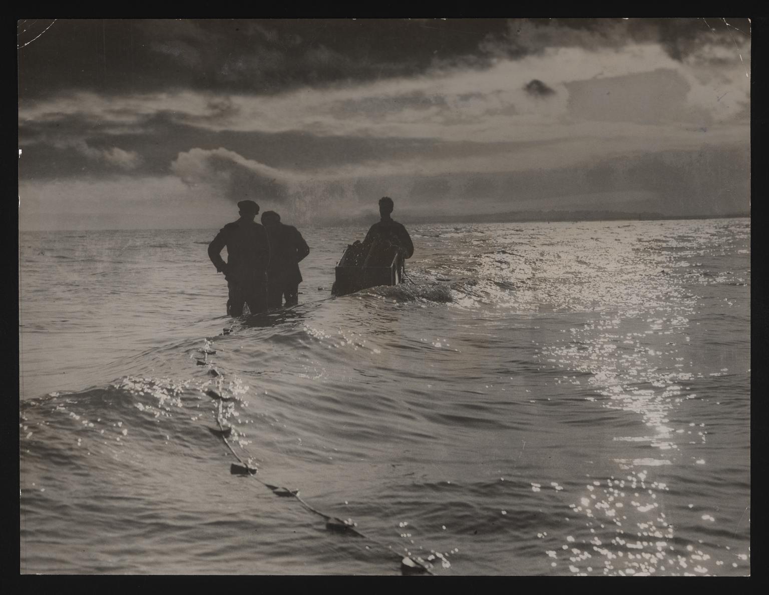 A photographic print of Fishing, Mackerel & Pilchard | Science Museum ...