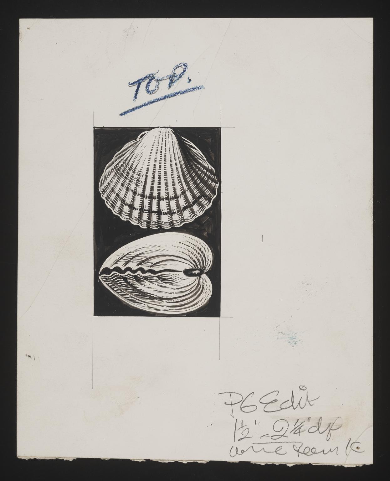 A document of Fishing, Crab, Cray & Lobster | Science Museum Group ...