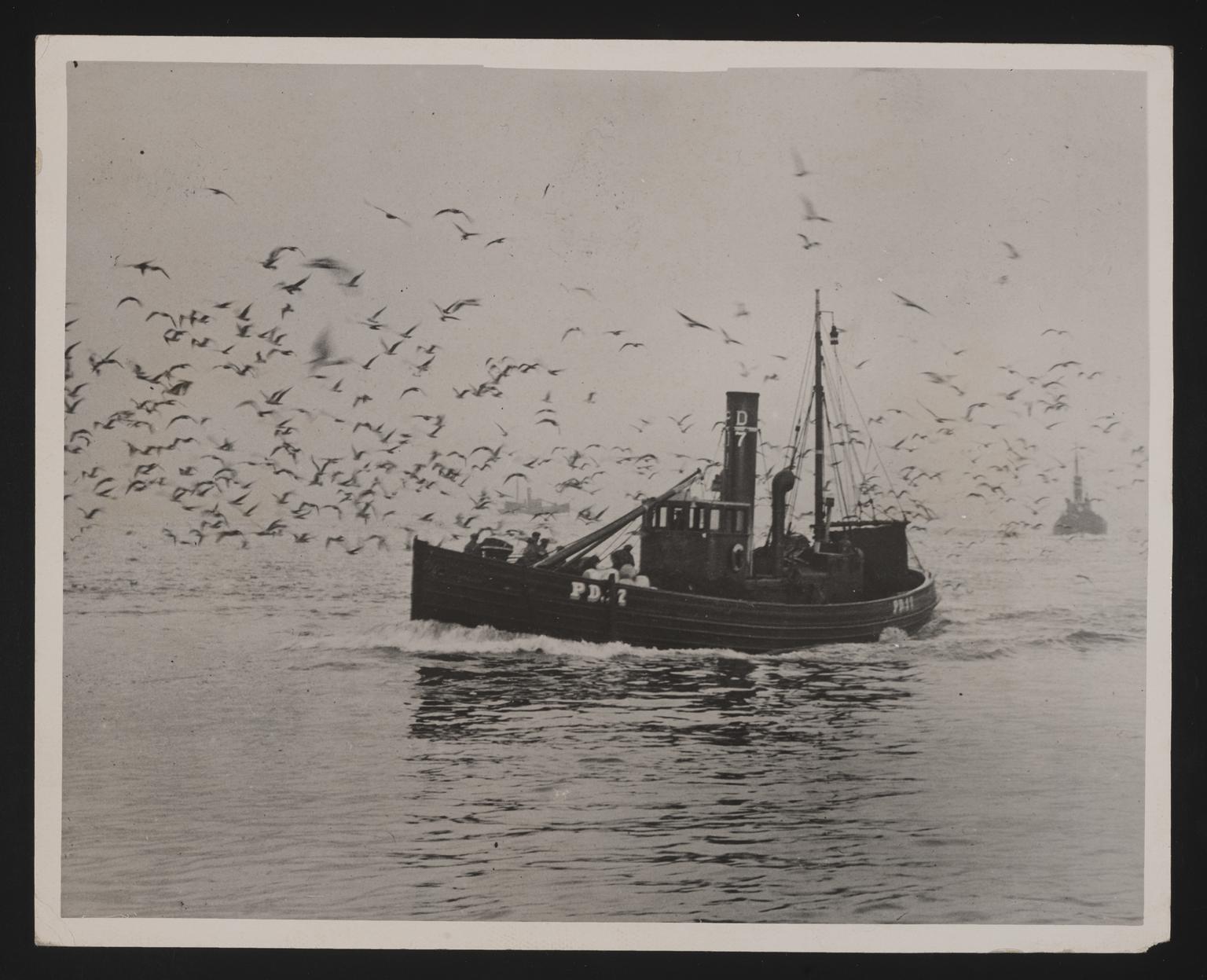 A photographic print of Fishing, Markets & Ports | Science Museum Group ...