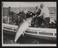 A photographic print of Fishing, Tuna