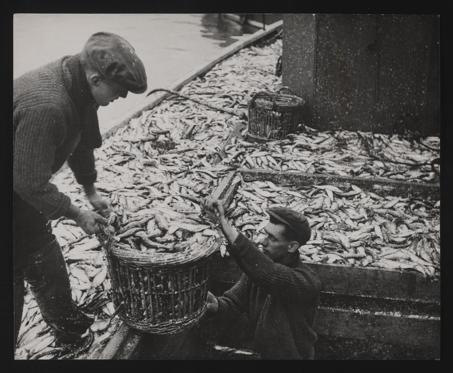 A photographic print of Fishing, Markets & Ports | Science Museum Group ...