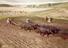 Diorama of Medieval Ploughing, 14th Century