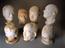 Collection of 35 phrenological plaster cast heads and face