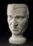 Plaster phrenological head, possibly of the composer Haydn