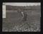 Daily Herald Photograph: Pensioner tending a railway-side garden