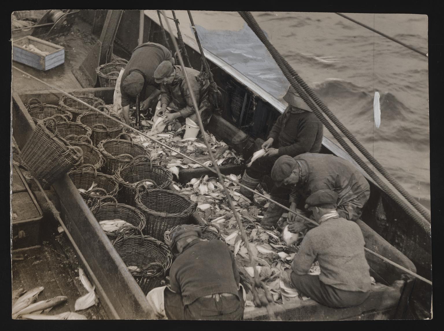 A photographic print of Fishing, Trawlers - Scenes Aboard | Science ...
