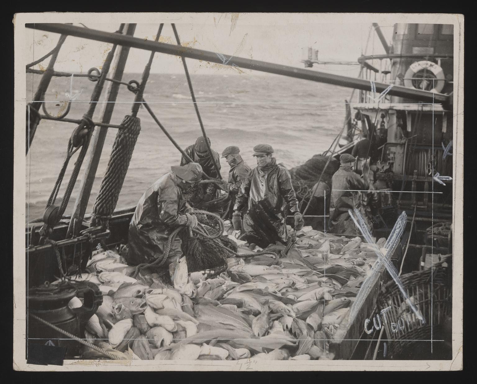 A photographic print of Fishing, Trawlers - Scenes Aboard | Science ...