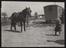 Daily Herald Photograph: Romany Gypsy community at Crawley