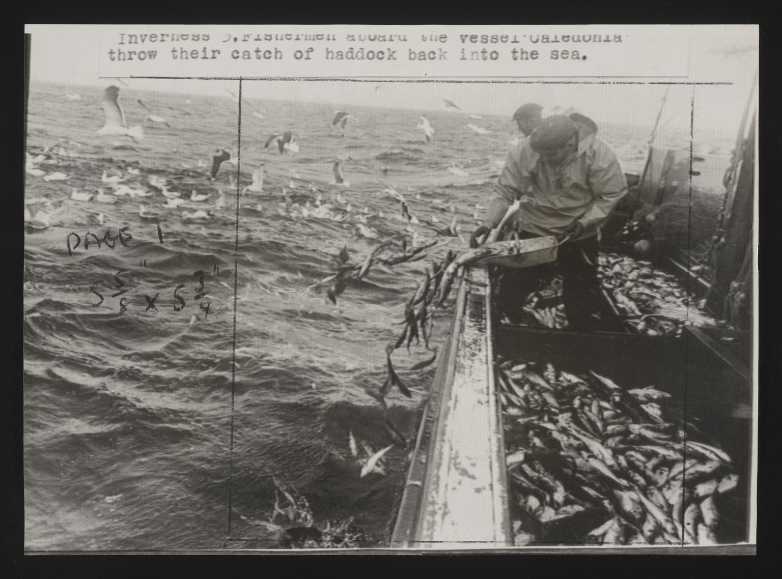 A photographic print of Fishing, Trawlers - Scenes Aboard | Science ...
