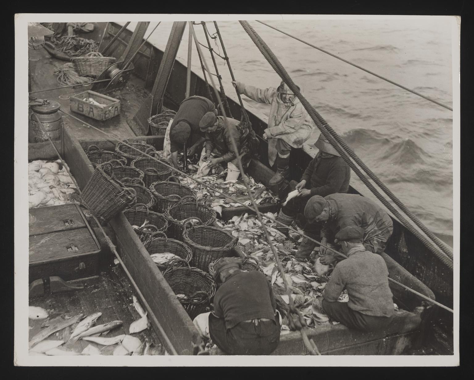 A photographic print of Fishing, Trawlers - Scenes Aboard | Science ...