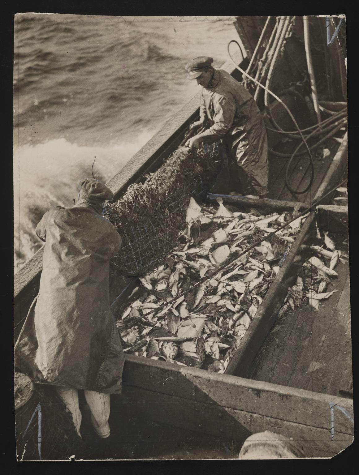 A photographic print of Fishing, Trawlers - Scenes Aboard | Science ...