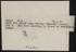 A photographic print of Foxes, General