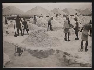 Daily Herald Photograph; Salt Production | Science Museum Group Collection