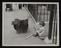 A photographic print of Home & Housing, Housing - Slums People