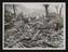 Daily Herald Photograph: Wood dumps for emergency fuel