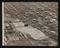 A photographic print of Industry, Fuel + Power, Oil - USA