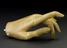 Wooden hand with all fingers fully articulated