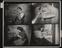 Daily Herald Contact Sheet: Testing harmonicas