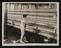 A photographic print of Industry, Textiles - Cotton, Old Prints - Mill & Workers