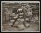 A photographic print of Industry, Textiles - Cotton, Workers